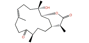 Sinulaflexiolide O